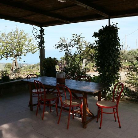 B&B Il Vigneto Trebisacce Luaran gambar