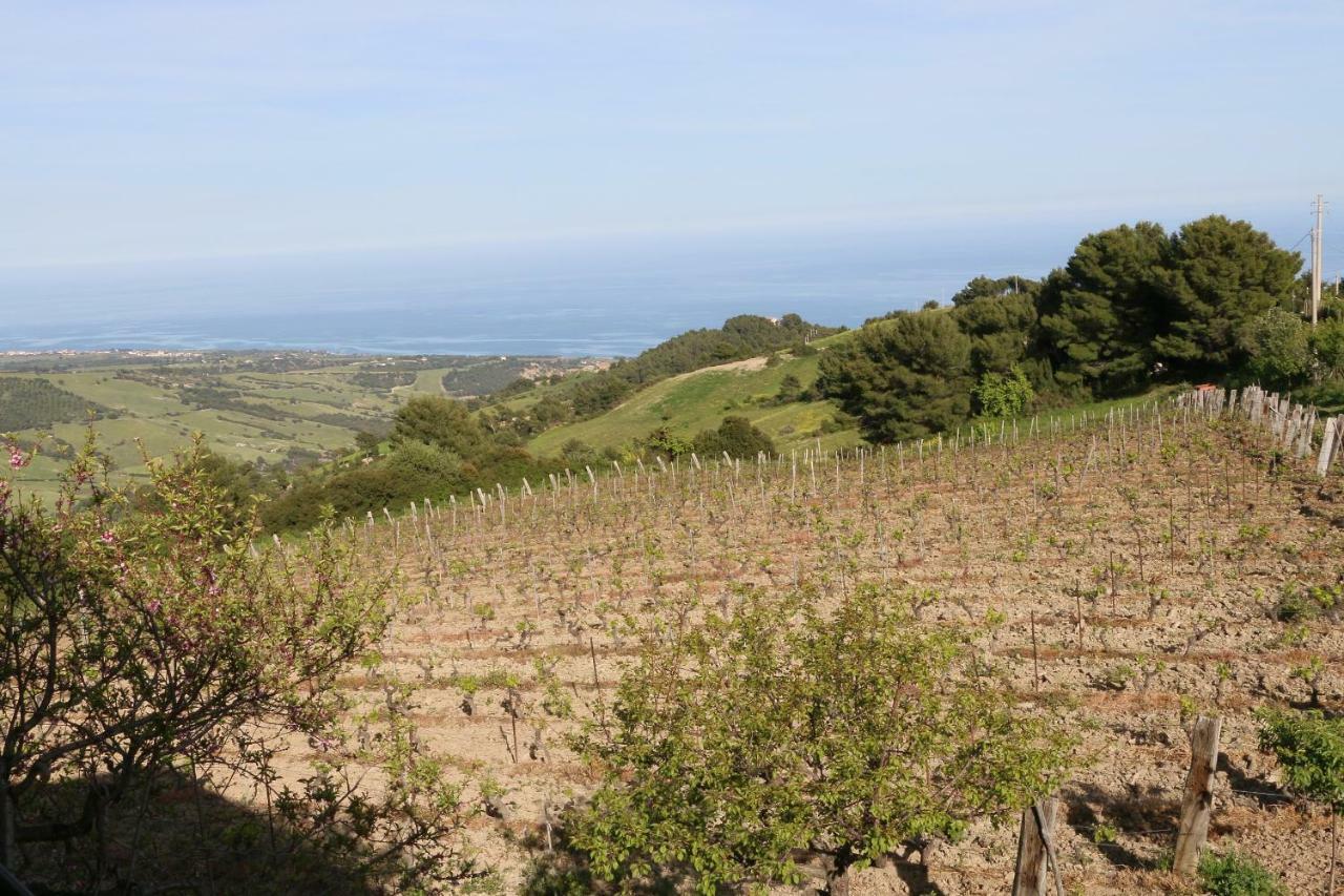 B&B Il Vigneto Trebisacce Luaran gambar
