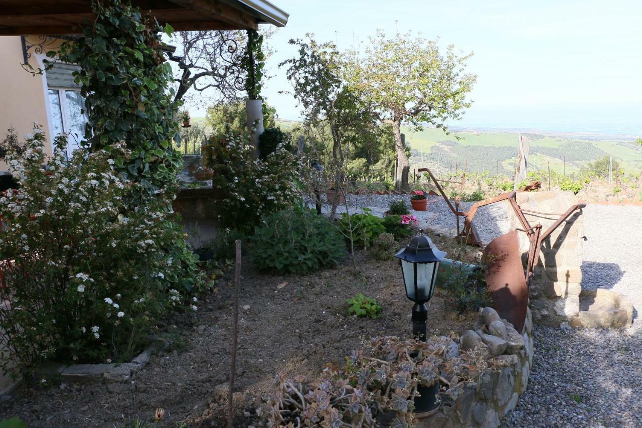 B&B Il Vigneto Trebisacce Luaran gambar