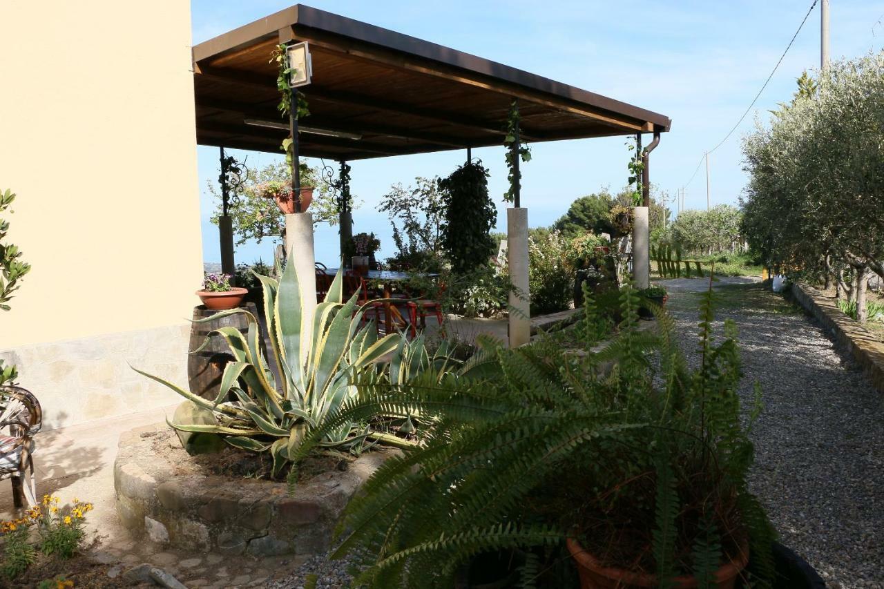 B&B Il Vigneto Trebisacce Luaran gambar